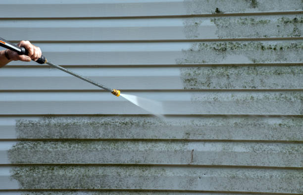 Best Exterior Home Cleaning  in Minersville, PA